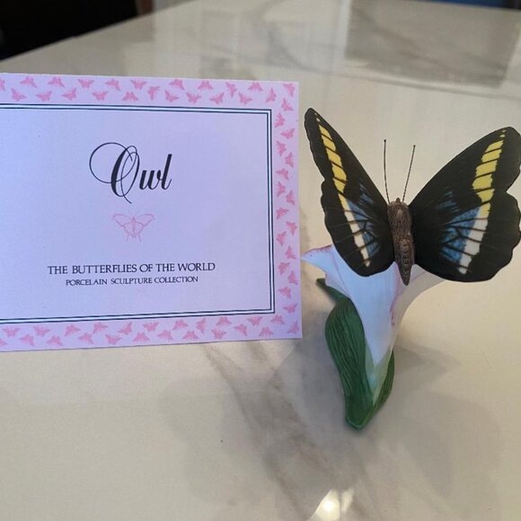 Butterflies From Around the World on their own Native Flowers - Picture 4 of 9